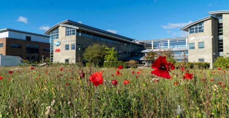 Nyt samarbejde om biodiversitet i Ballerup Kommune