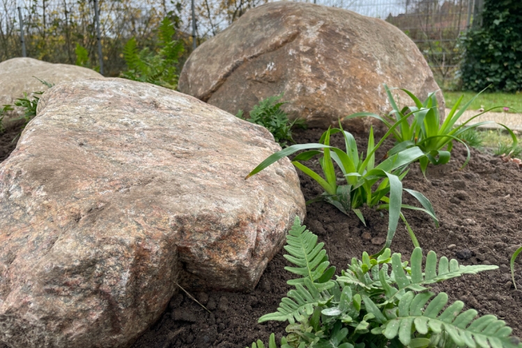 Deas bag nyt naturprojekt ved Psykiatrisk Afdeling i Vejle